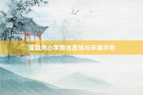 深圳湾小学陶冶质地与环境评测
