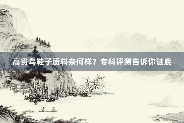 高贵鸟鞋子质料奈何样?专科评测告诉你谜底