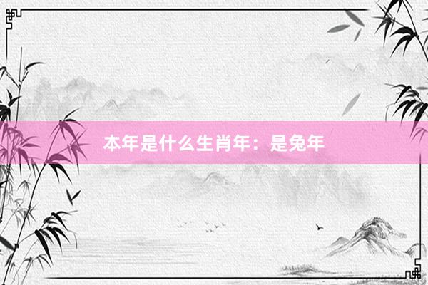 本年是什么生肖年:是兔年